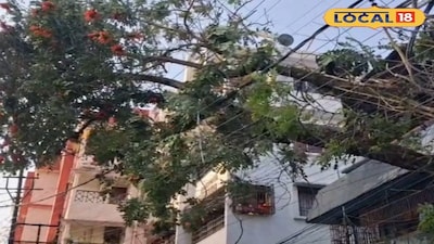 ঝড়ের তাণ্ডবে লণ্ডভণ্ড জলপাইগুড়ি 