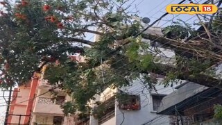 ঝড়ের তাণ্ডবে লণ্ডভণ্ড জলপাইগুড়ি 