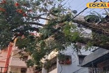 North Bengal Storm: কয়েক মিনিটের ঝড়ে সব শেষ! অন্ধকারে থেমে গেল চিকিৎসা, অক্সিজেনের অভাবে ছটফট করে মৃত্যু