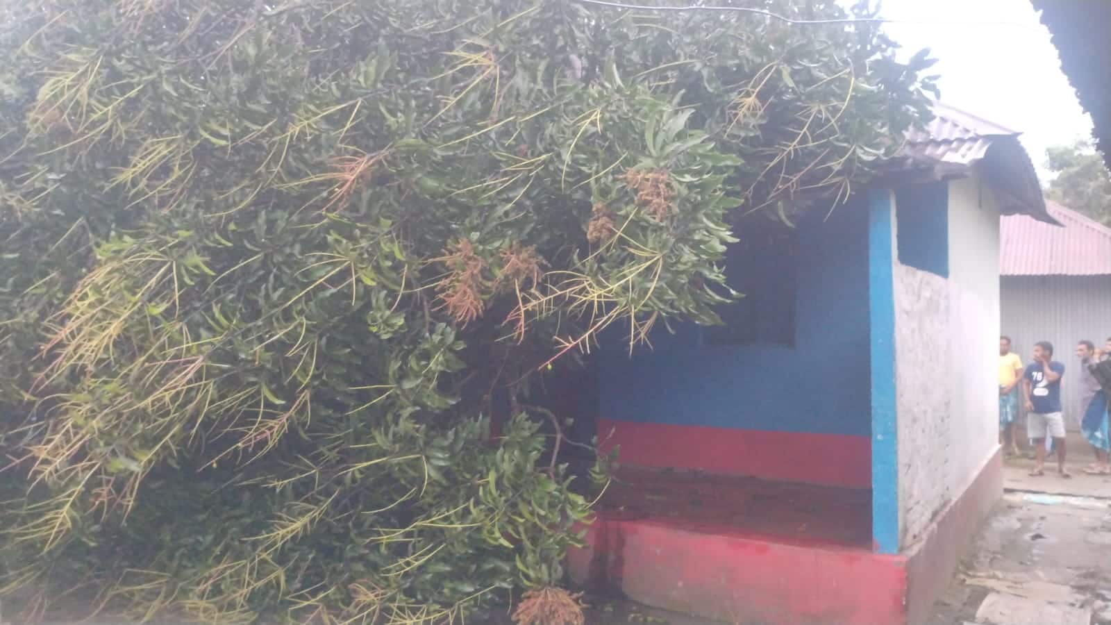 বাড়ির উপর ভেঙে পড়েছে গাছ