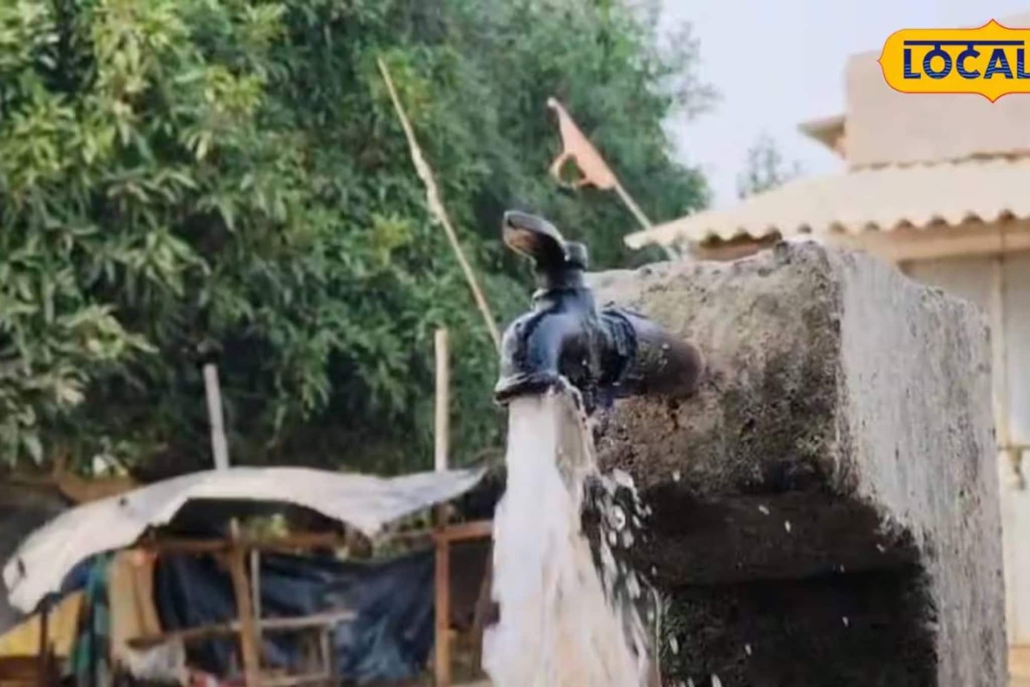 রায়গঞ্জবাসীর ভোগান্তি অতীত! ভোটের আগেই বাড়ি বাড়ি পৌঁছল পানীয় জল