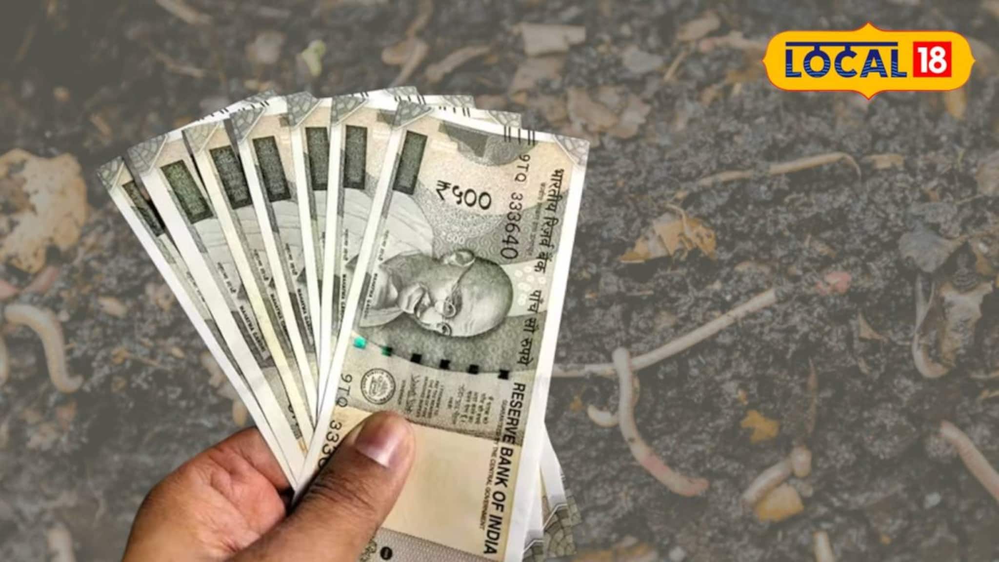 ফেলে দেওয়া জঞ্জালেই রোজগারের দিশা! ভাল টাকা আয় করছেন রায়গঞ্জের মহিলারা