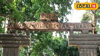 এশিয়ার দ্বিতীয় বৃহত্তম পক্ষীনিবাস কুলিক পাখিরালয়