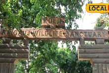 Weekend Trip: বাংলার বুকে এশিয়ার দ্বিতীয় বৃহত্তম পক্ষীনিবাস! সপ্তাহান্তের ছুটিতে ঘুরে আসুন কুলিক পাখিরালয়, রঙবেরঙের পাখি দেখে ভরে যাবে মন