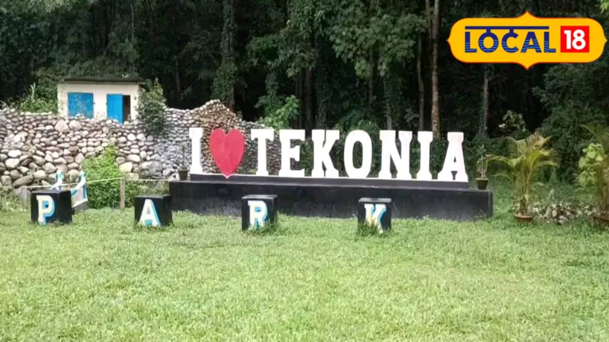 একদিকে জঙ্গল, অন্যদিকে নদী! শান্ত পরিবেশে সময় কাটানোর সেরা ঠিকানা এই পার্ক