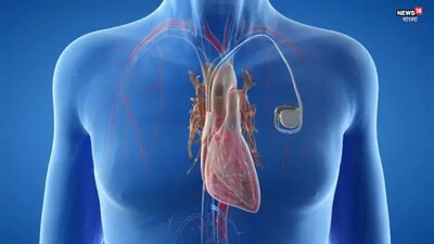 প্রতীকী ছবি