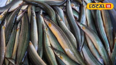 ঔষধি গুণে ভরপুর গ্রাম-বাংলার এই সাধারণ মাছ! প্রোটিনের ভাণ্ডার,বাতের ব্যথা সারবে এক চুটকিতে