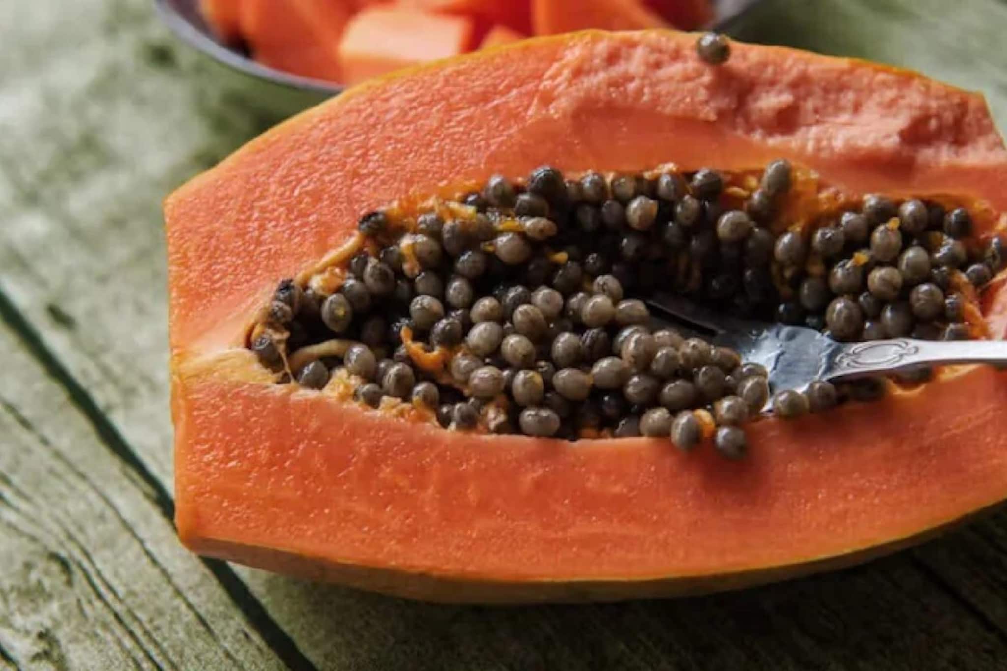 পেঁপে খাওয়া শরীরের জন্য ভাল, কিন্তু 'এঁরা' ভুলেও খাবেন না পাকা পেঁপে, জানিয়ে দিলেন চিকিৎসক পেঁপে খাওয়া শরীরের জন্য ভাল, কিন্তু 'এঁরা' ভুলেও খাবেন না পাকা পেঁপে, জানিয়ে দিলেন চিকিৎসক