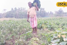 Profitable Farming Tips: চাষবাসেই লুকিয়ে বড়লোক হওয়ার 'সিক্রেট'! সাফল্যের ফর্মুলায় বাজিমাত হাওড়ার এই কৃষকের, জানলে অবাক হবেন আপনিও