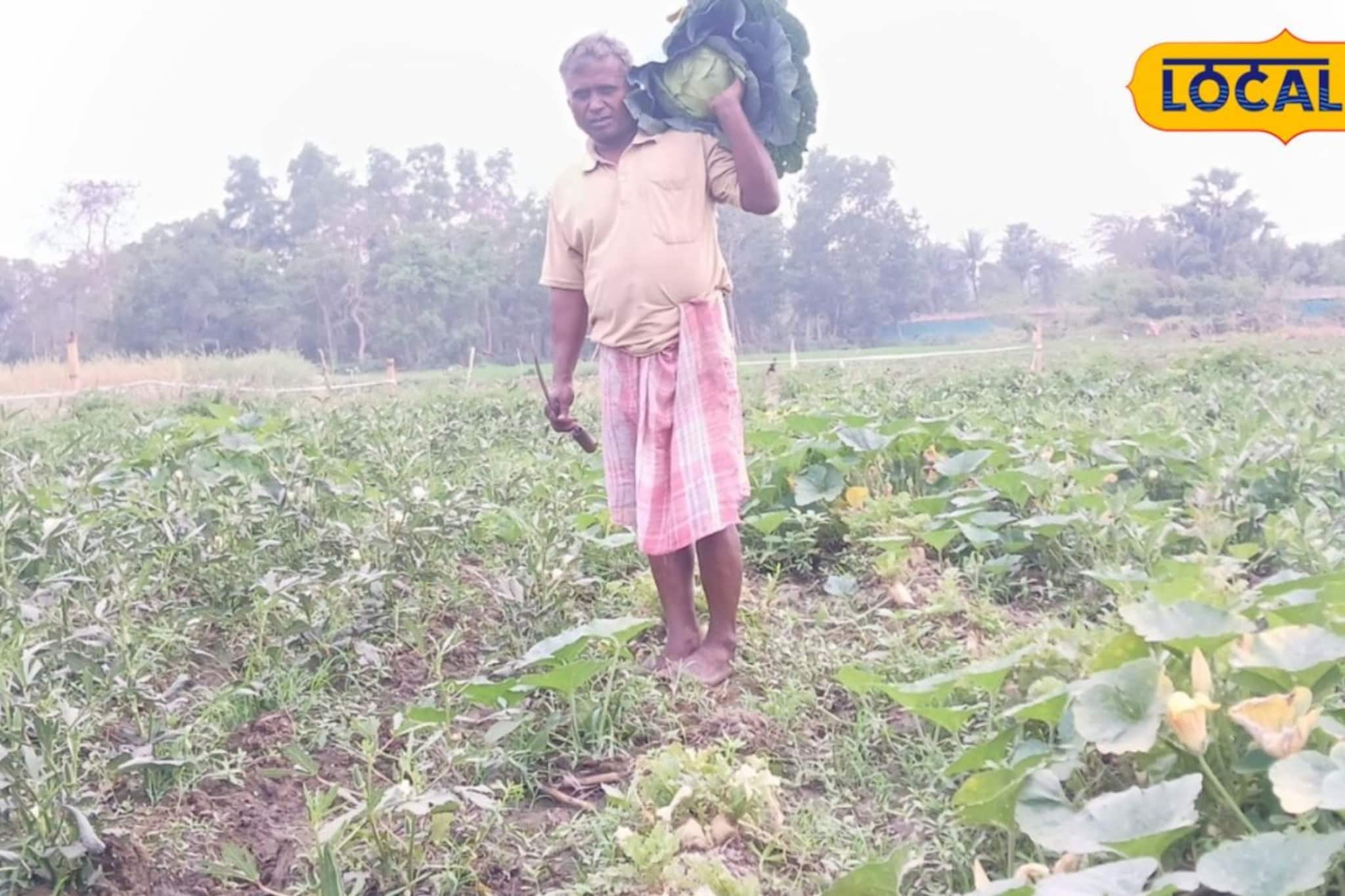 চাষবাসেই লুকিয়ে বড়লোক হওয়ার 'সিক্রেট'! সাফল্যের ফর্মুলায় বাজিমাত হাওড়ার এই কৃষকের, জানলে অবাক হবেন আপনিও
