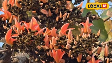 পুরুলিয়ায়