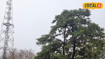 ভরা বসন্তে ঝেঁপে আসছে বৃষ্টি! ঝড়-জলে ভিজবে রাজ্যের একাধিক জেলা, কেমন থাকবে ঝাড়গ্রাম