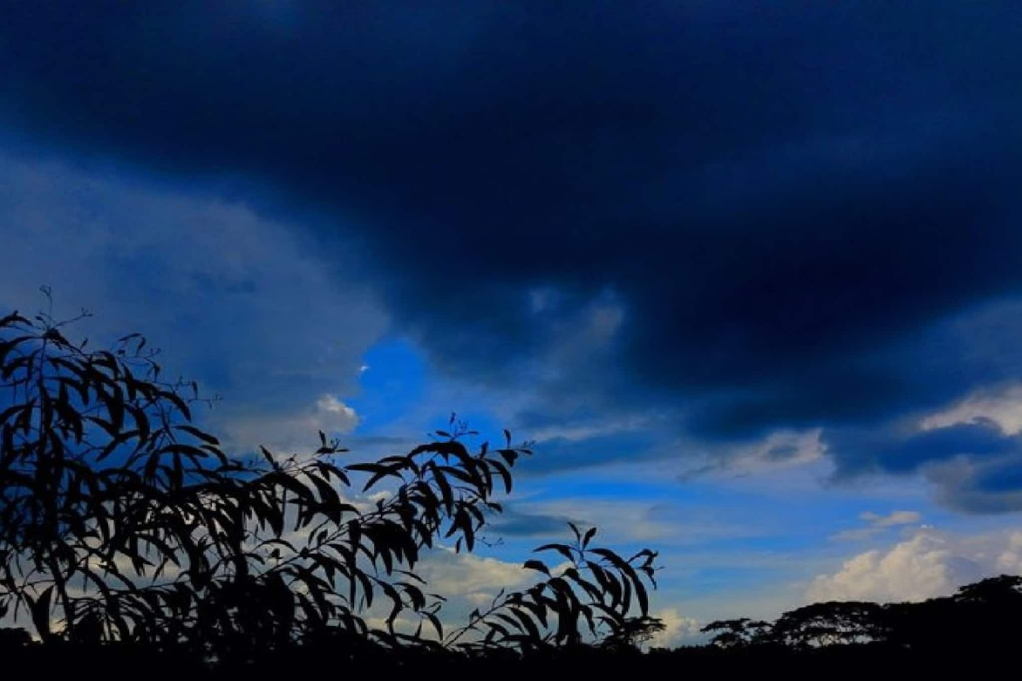 মুহূর্তে বদলাবে আকাশ, মেঘের সঞ্চার শুরু! বৃষ্টির পূর্বাভাস বাংলার ১২ জেলায়, আবহাওয়ার আপডেট মুহূর্তে বদলাবে আকাশ, মেঘের সঞ্চার শুরু! বৃষ্টির পূর্বাভাস বাংলার ১২ জেলায়, আবহাওয়ার আপডেট