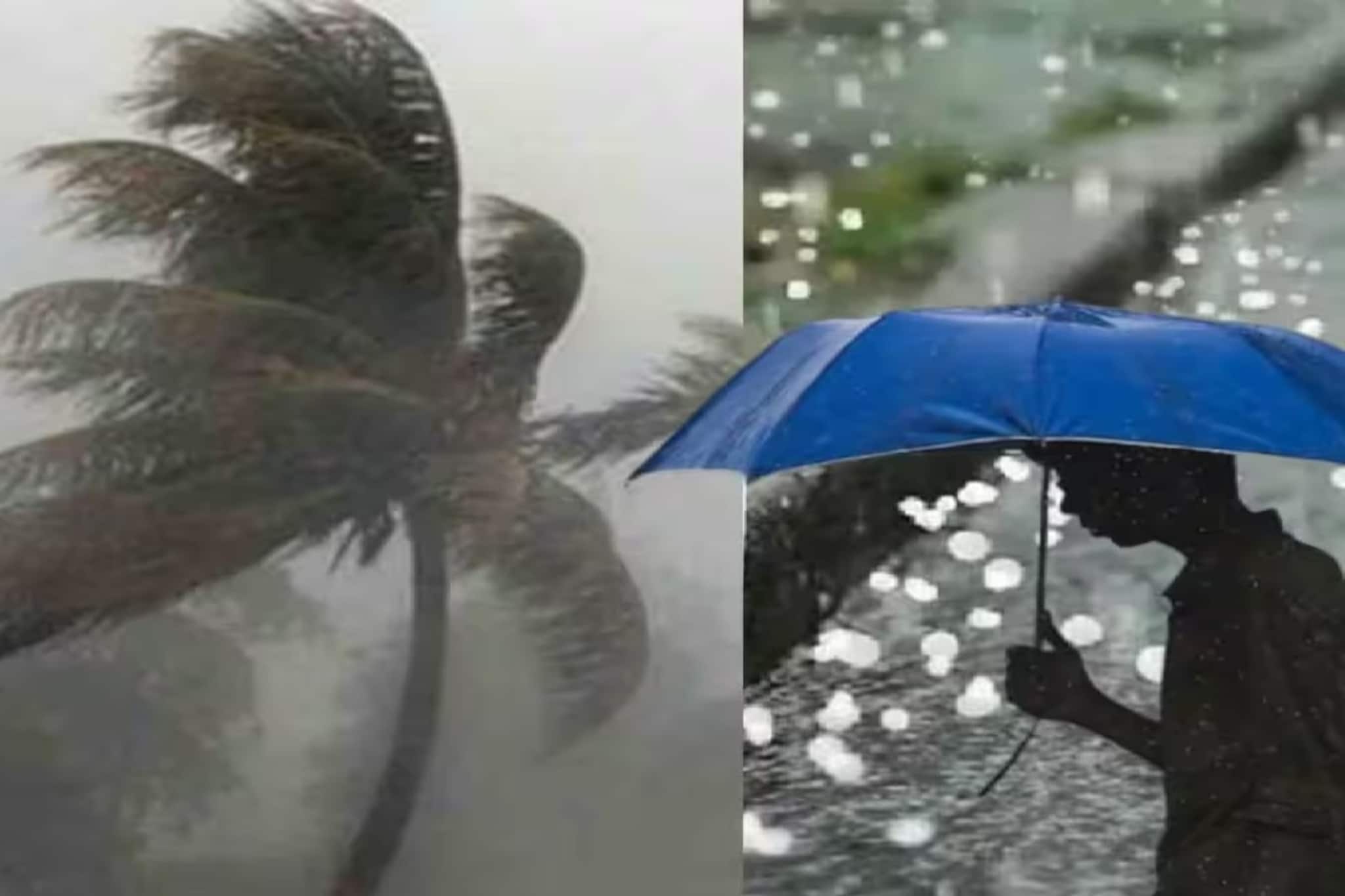 খামখেয়ালি আবহাওয়ায় এবার বৃষ্টির 'এন্ট্রি'! বাংলার একাধিক জেলা ভিজবে কবে থেকে? জানুন