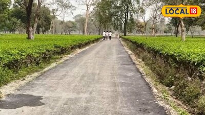 প্রতীকী ছবি