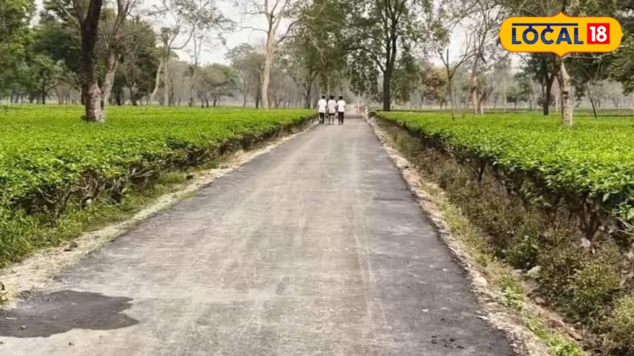 নিম্নমানের বিভিন্ন সামগ্রী দিয়ে রাস্তা তৈরি করার অভিযোগ! পাথরপ্রতিমায় বিক্ষোভ