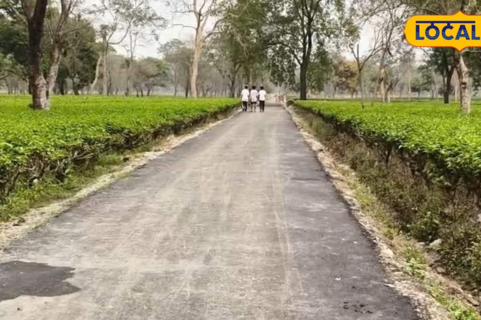 নিম্নমানের বিভিন্ন সামগ্রী দিয়ে রাস্তা তৈরি করার অভিযোগ! পাথরপ্রতিমায় বিক্ষোভ