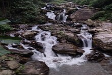 Weekend Trip: একদিনের ছুটি, শহরের কাছেই লুকিয়ে ‘স্বর্গ’! শিলিগুড়ি থেকে ৪৫ মিনিটে পৌঁছে যান রোহিণী ওয়াটারফল