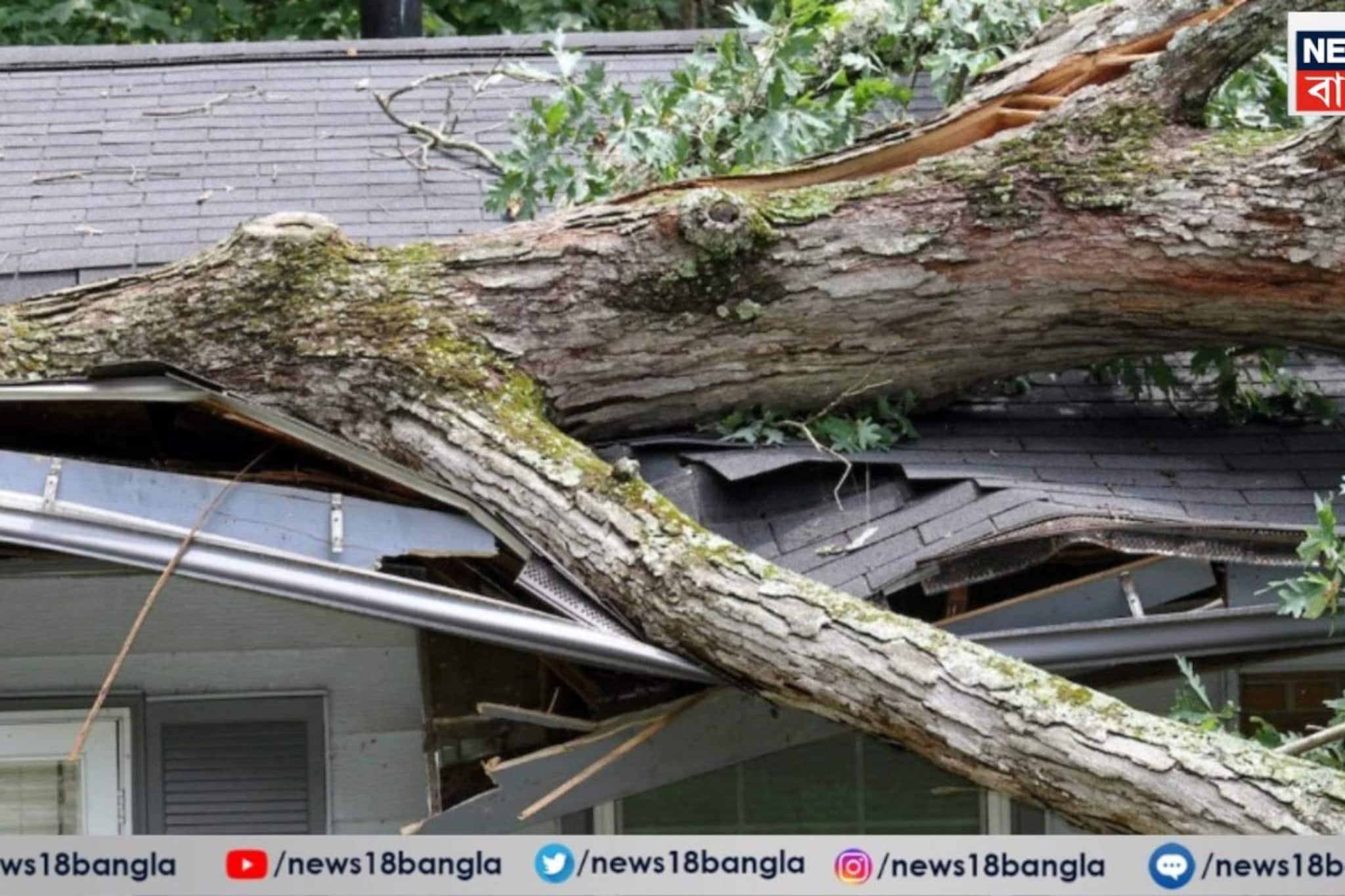 West Midnapore: ঝড়বৃষ্টির রাতে বাড়ির ছাদে পড়ল গাছ, ঘুমের মধ্যে মর্মান্তিক মৃত্যু বৃদ্ধা, আহত তাঁর স্বামীও