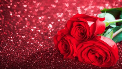 বিক্রেতারা জানান,রানাঘাট-নবদ্বীপ এলাকায় মূলত এই গোলাপের চাষ হয়।উৎপাদন বেশি হলে এই সময় তাদের লস হয় কারণ সেখানে এই সময়ে পুরনো গাছগুলি তুলে ফেলে নতুন গাছ বসানো হয়। তাই সেখান থেকে আমরা কিনে আনি এবং খুব অল্প লাভ রেখে বিক্রি করি।