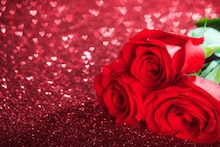 Rose For Love: এক পিস গোলাপ কত টাকায় উপহার দেন কাছের মানুষকে? এখানে মেলে ৫০ টাকায় ৫০ টি গোলাপ ফুল