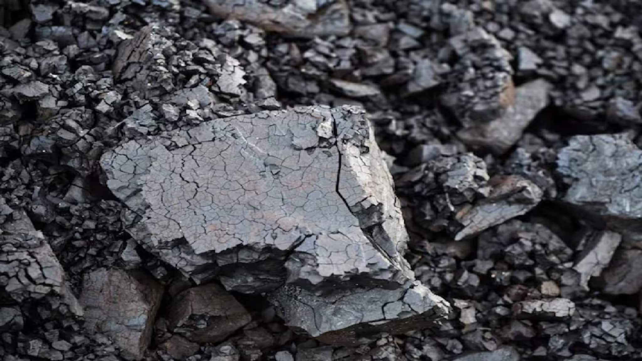 হরমুজ সংকটে ভারতের ভরসা রাশিয়া! ‘কালো সোনা’ই বিকল্প, প্রকাশ্যে এল দেশের নতুন আমদানির তথ্য!