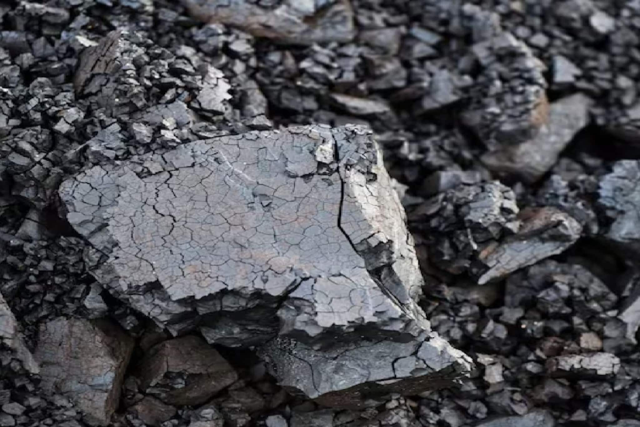 হরমুজ সংকটে ভারতের ভরসা রাশিয়া! ‘কালো সোনা’ই বিকল্প, প্রকাশ্যে এল দেশের নতুন আমদানির তথ্য!   