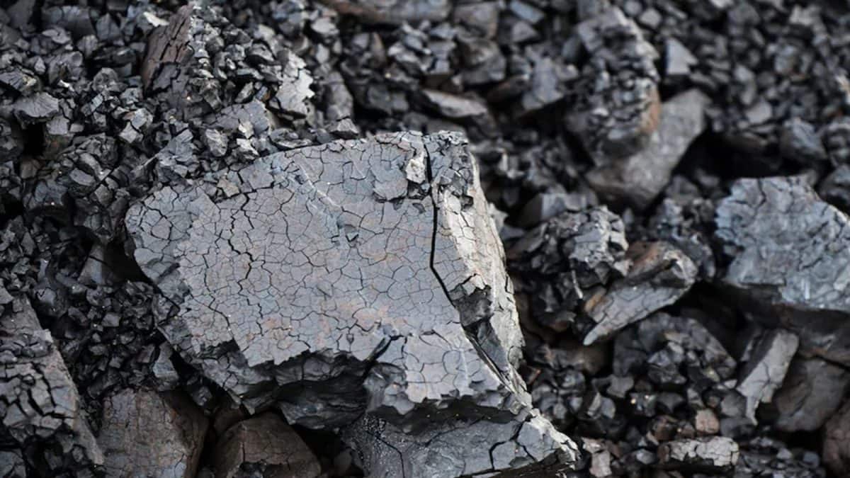 একদিকে হরমুজ প্রণালীর কারণে তেল সঙ্কট, তারই মধ্যে ভারতের কোষাগার ‘কালো সোনা’ দিয়ে পূর্ণ করল রাশিয়া!