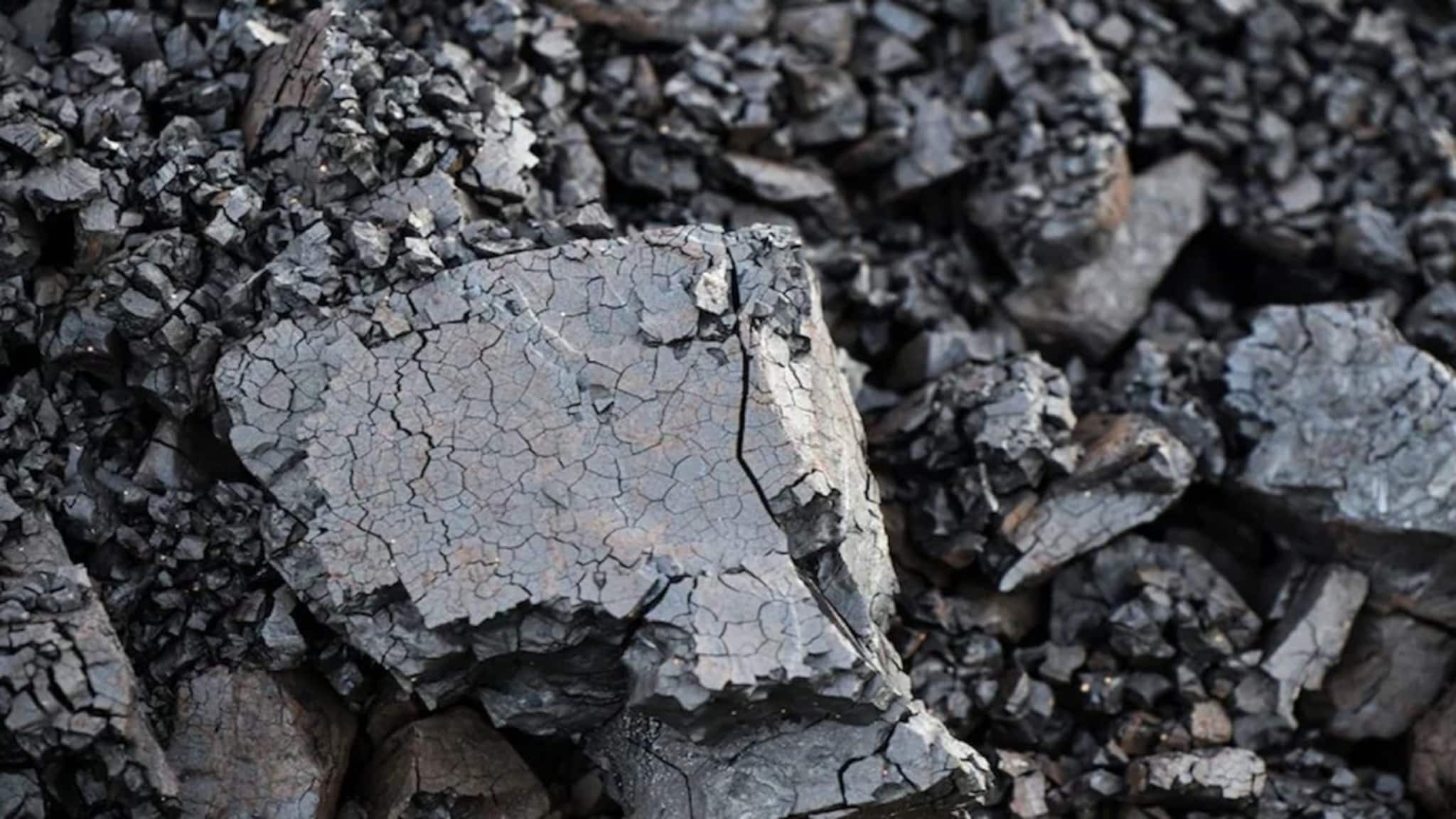 একদিকে হরমুজ প্রণালীর কারণে তেল সঙ্কট, তারই মধ্যে ভারতের কোষাগার ‘কালো সোনা' দিয়ে পূর্ণ করল রাশিয়া!