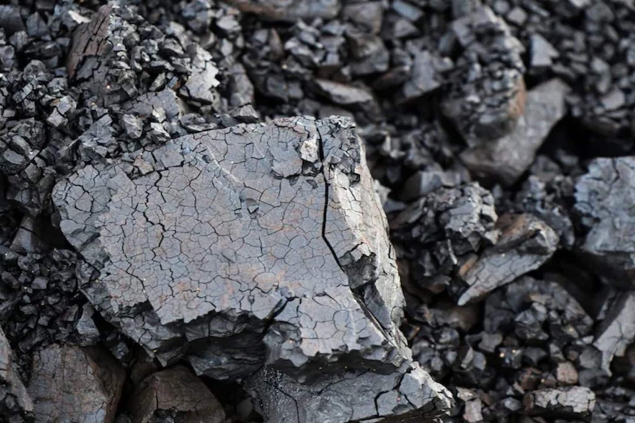 একদিকে হরমুজ প্রণালীর কারণে তেল সঙ্কট, তারই মধ্যে ভারতের কোষাগার ‘কালো সোনা' দিয়ে পূর্ণ করল রাশিয়া !