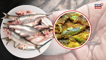 মৃতসঞ্জীবনী সমান এই 'মাছ'...! হার্ট অ্যাটাক রোধক, প্রোটিন, ক্যালসিয়াম ঠাসা, কমায় ওজন!