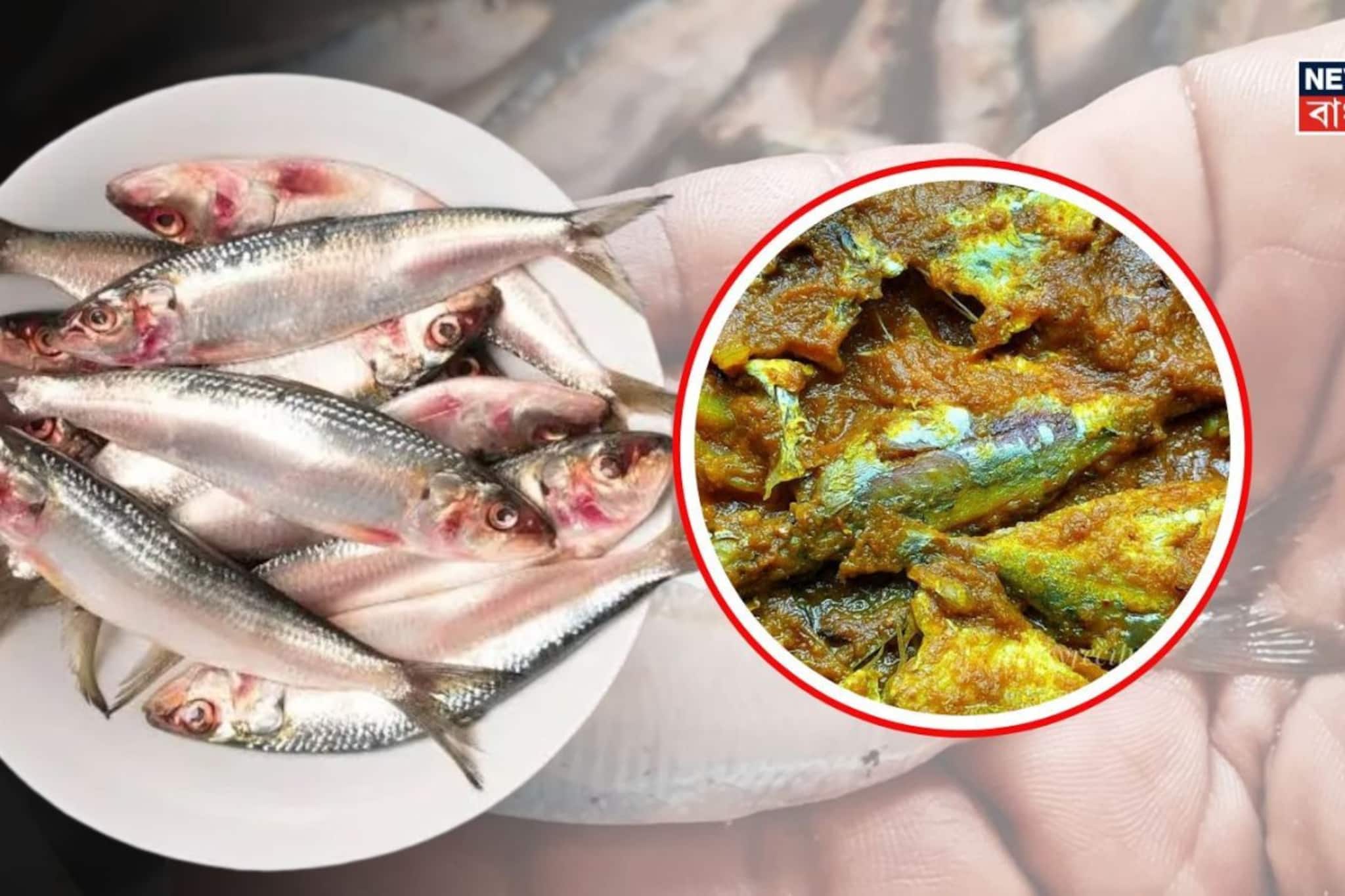 মৃতসঞ্জীবনী সমান এই 'মাছ'...! হার্ট অ্যাটাক রোধক, প্রোটিন, ক্যালসিয়াম ঠাসা, কমায় ওজন!