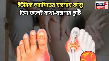 High Uric Acid Control Tips: ইউরিক ব্যথা-যন্ত্রণা থেকে মুক্তি! তিনটি ফলই ছেঁকে বের করবে, এক্কেবারে জব্দ, শরীর মন এক্কেবারে টানটান
