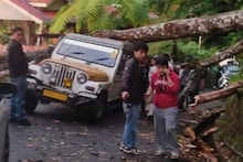 কয়েক মিনিটের ঝড়েই মৃত ১ আহত ৩, বাঙালির প্রিয় জায়গায় মর্মান্তিক ঘটনা