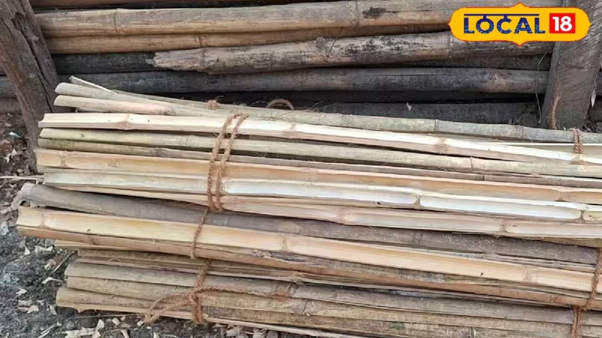 Money Making Tips: ভোটের বাজারে আয়ের নয়া দিশা! শিলিগুড়িতে পতাকার ‘বাতা’ ঘিরে বাড়ছে ব্যবসা, অর্ডার সামলাতে হিমশিম খাচ্ছেন বিক্রেতারা