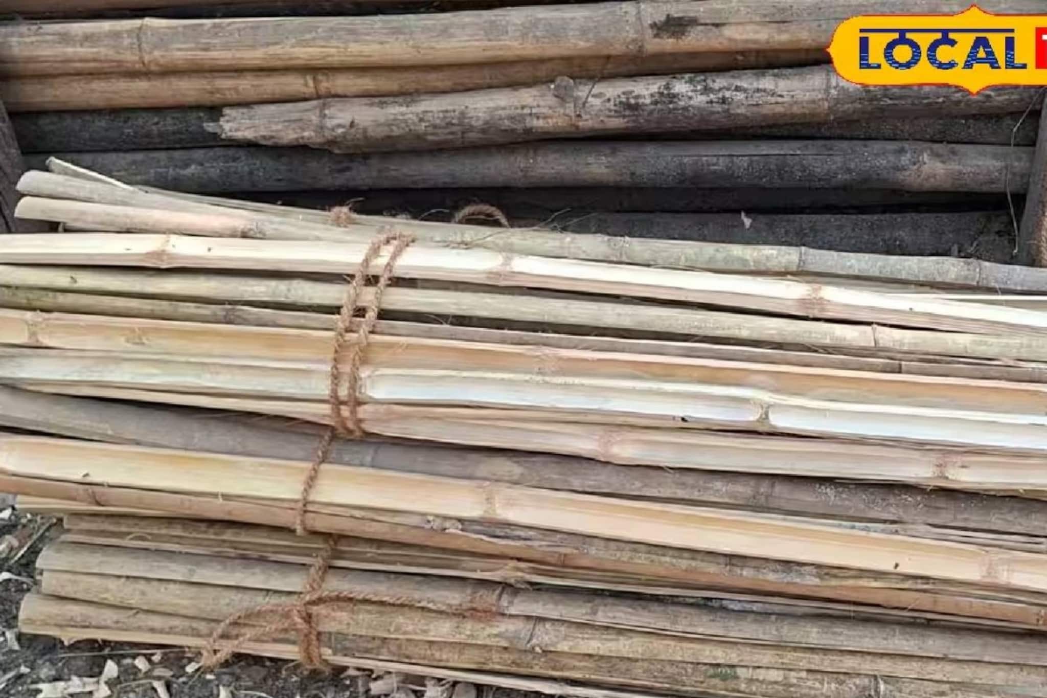 ভোটের বাজারে আয়ের নয়া দিশা! শিলিগুড়িতে পতাকার ‘বাতা’ ঘিরে বাড়ছে ব্যবসা