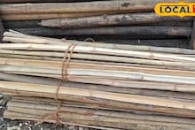 Money Making Tips: ভোটের বাজারে আয়ের নয়া দিশা! শিলিগুড়িতে পতাকার ‘বাতা’ ঘিরে বাড়ছে ব্যবসা, অর্ডার সামলাতে হিমশিম খাচ্ছেন বিক্রেতারা