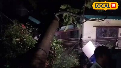 বাড়ির উপর গাছ ভেঙে পড়েছে