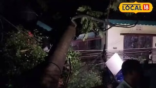 বাড়ির উপর গাছ ভেঙে পড়েছে বাড়ির উপর গাছ ভেঙে পড়েছে