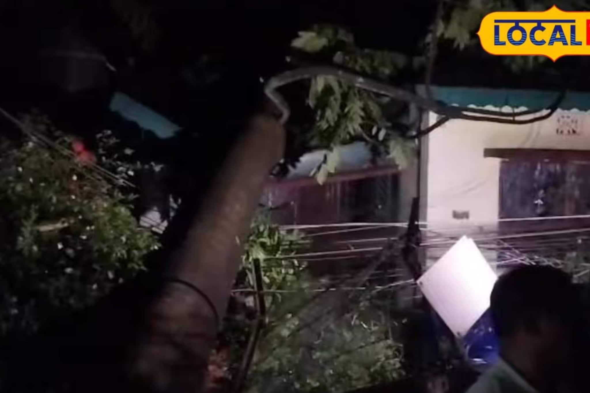 ঘণ্টাখানেকের ঝড়বৃষ্টিতেই লন্ডভন্ড শহর! শক্তিগড়ে বাড়ির উপর ভেঙে পড়ল বিশাল গাছ ঘণ্টাখানেকের ঝড়বৃষ্টিতেই লন্ডভন্ড শহর! শক্তিগড়ে বাড়ির উপর ভেঙে পড়ল বিশাল গাছ