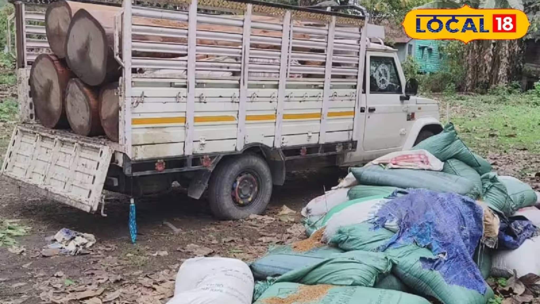 Siliguri News: ধানের তুষের আড়ালে চোরাচালানের চেষ্টা! বন দফতরের তৎপরতায় ফাঁস সব, বাগডোগরায় ধরা পড়ল শাল কাঠ পাচার চক্র