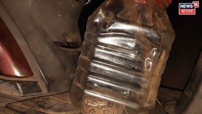 চন্দ্রবোড়া সাপ 