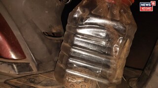 চন্দ্রবোড়া সাপ 