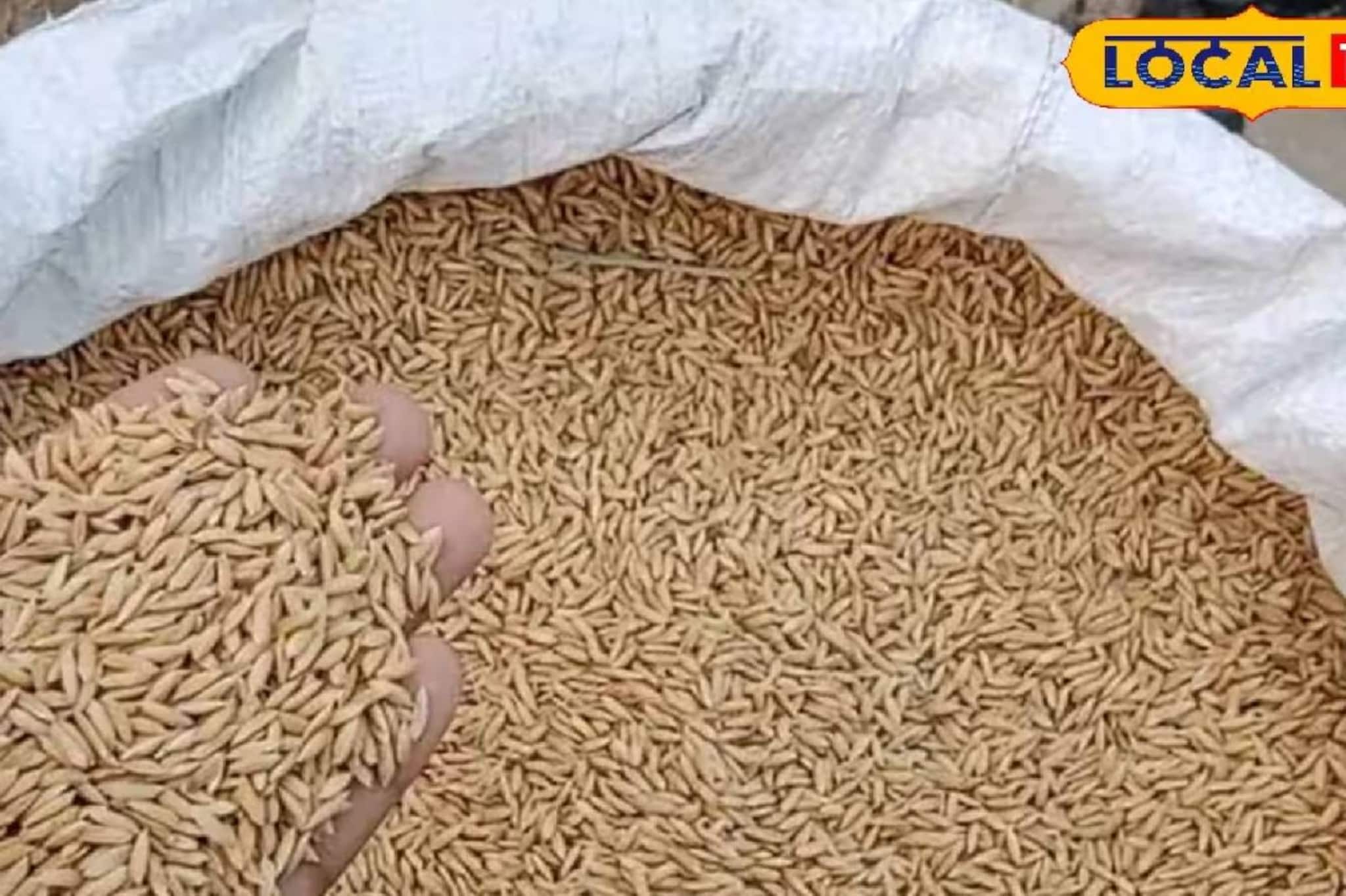 সরকারি ধান ক্রয় কেন্দ্রে ধান বিক্রিতে চাষিদের অনীহা! টার্গেট নিয়ে বাড়ছে চিন্তা