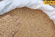 South 24 Parganas News: ৯৮ হাজার থেকে একলাফে ৭৪ হাজার! সরকারি ধান ক্রয় কেন্দ্রে ধান বিক্রিতে চাষিদের অনীহা, টার্গেট নিয়ে বাড়ছে চিন্তা