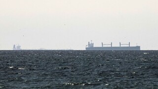 ইরান থেকে ‘অনুমতি’-র দাবিকে খারিজ ভারতের