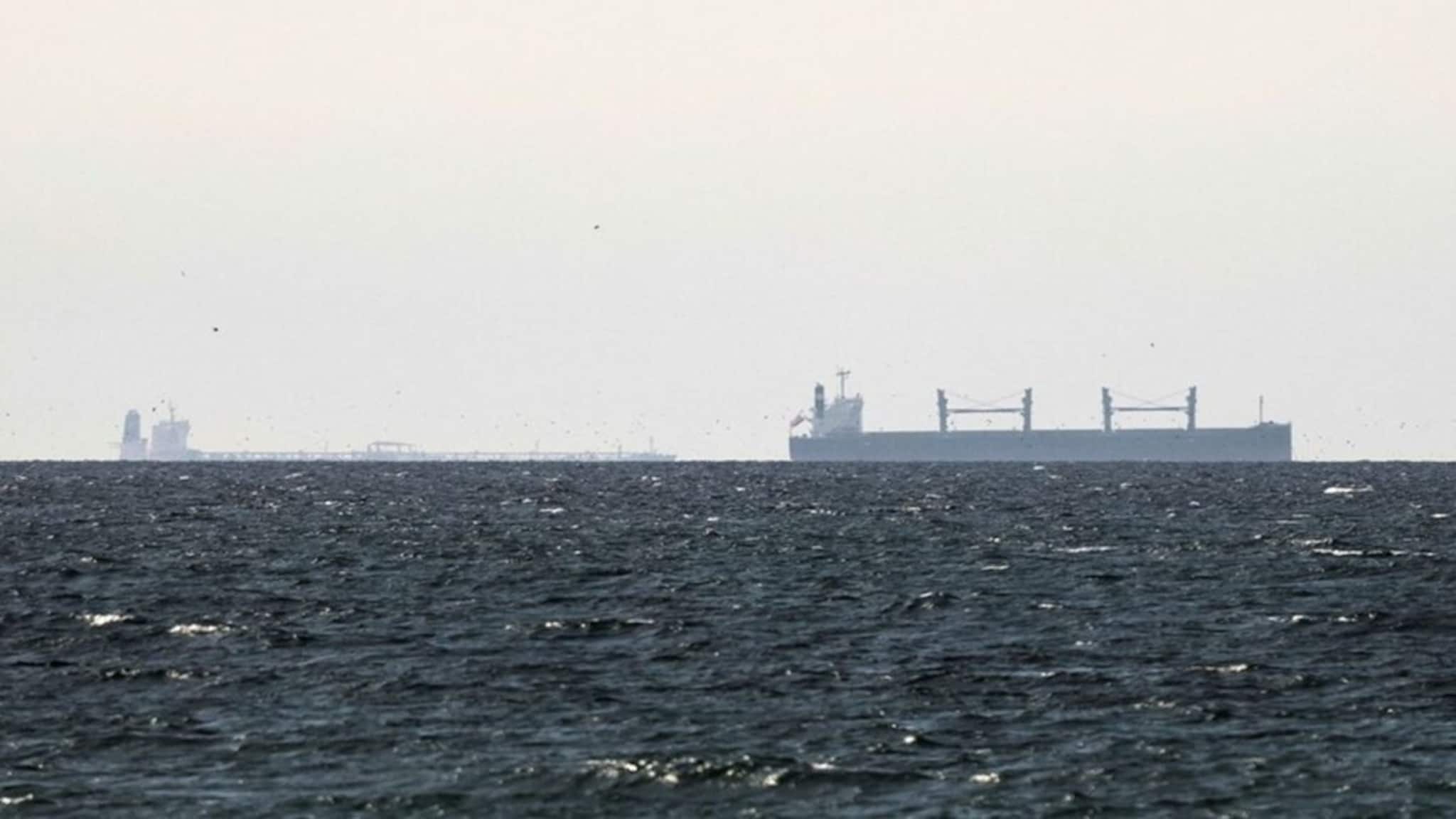 ‘হরমুজ থেকে জাহাজ পাস করার জন্য কারও অনুমতি কখনও নেওয়া হয়নি, এখনও নেওয়া হচ্ছে না...’, ইরান থেকে ‘অনুমতি’-র দাবিকে খারিজ ভারতের