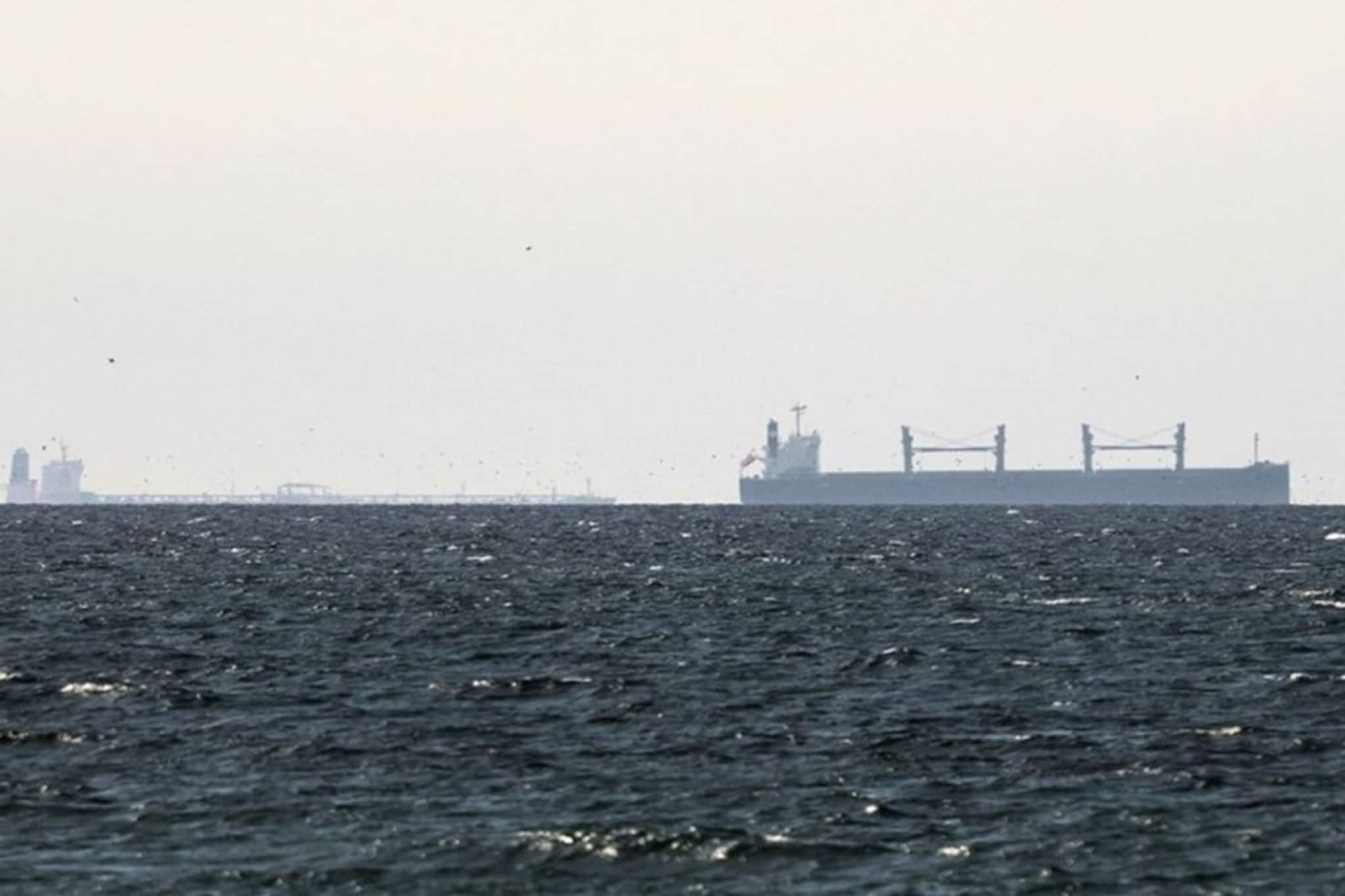 ‘হরমুজ থেকে জাহাজ পাস করার জন্য কারও অনুমতি কখনও নেওয়া হয়নি, এখনও হচ্ছে না...’, ইরান থেকে ‘অনুমতি’-র দাবিকে খারিজ ভারতের