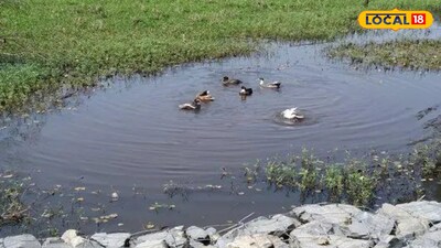 অস্তিত্বের সঙ্কটে ভুগছে তপনদিঘি। 