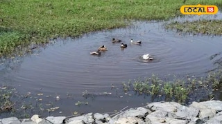 অস্তিত্বের সঙ্কটে ভুগছে তপনদিঘি। অস্তিত্বের সঙ্কটে ভুগছে তপনদিঘি।